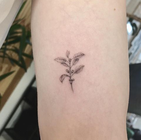 Plant Tattoos  POPSUGAR Tech
