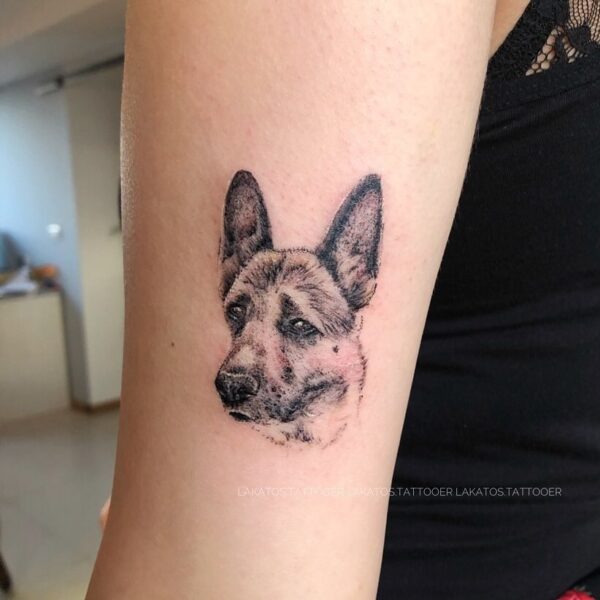 50+ Cute Tattoos of German Shepherds July 2024