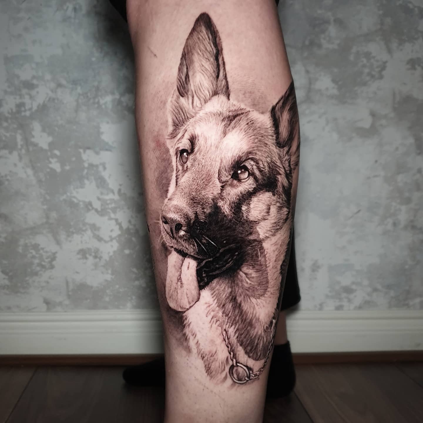 more dog portrait please  germanshepherd doglovers dogportrait  bnginksociety blackandgrey tattoo inkedmag blackandgreyrealism   Instagram
