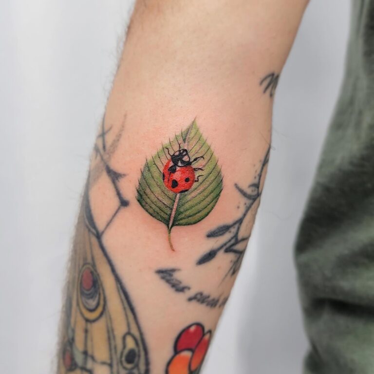 70+ Best Ladybug Tattoo Design With Meaning - November 2024