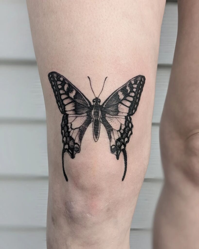 Monarch Butterfly Tattoo Meanings Design Ideas and Our Recommendations   Saved Tattoo