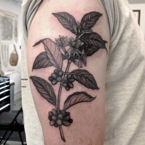 70+ Amazing Coffee Plant Tattoo For Men & Women - March 2024