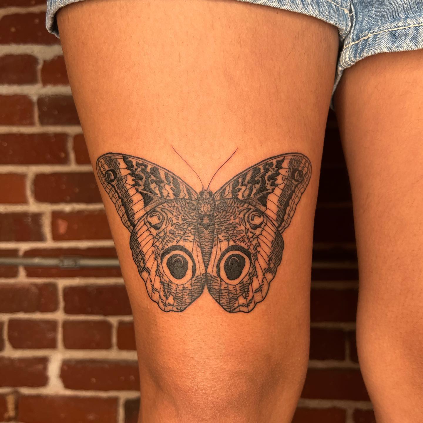 70 Top Butterfly Tattoos On The Thigh December 2024 1802