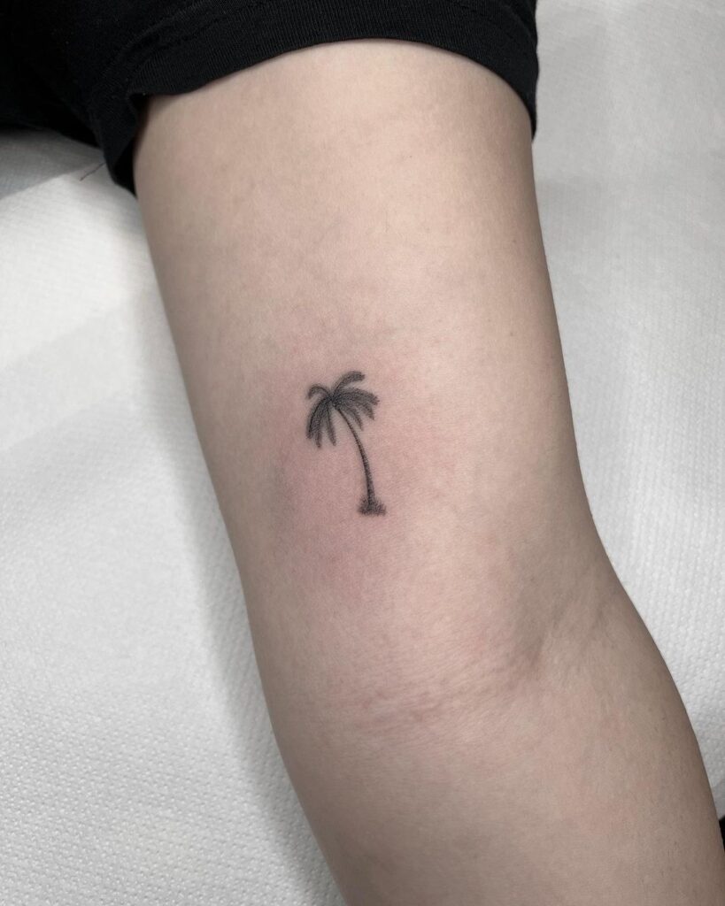 Mini palm tree tattoo above the elbow bicep breezes
