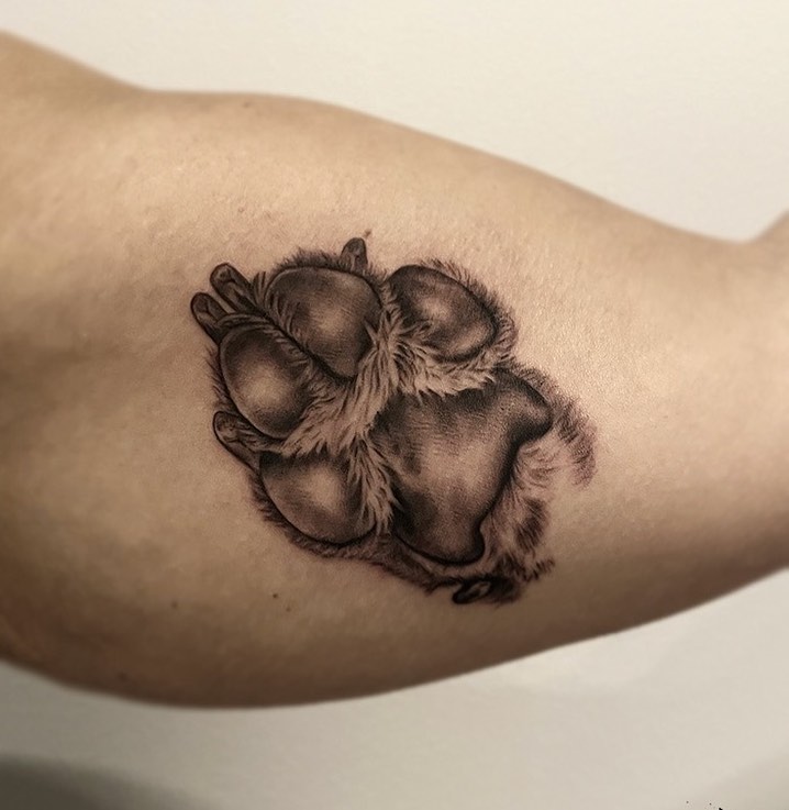 Paw Print Temporary Tattoo - Set of 3 – Tatteco