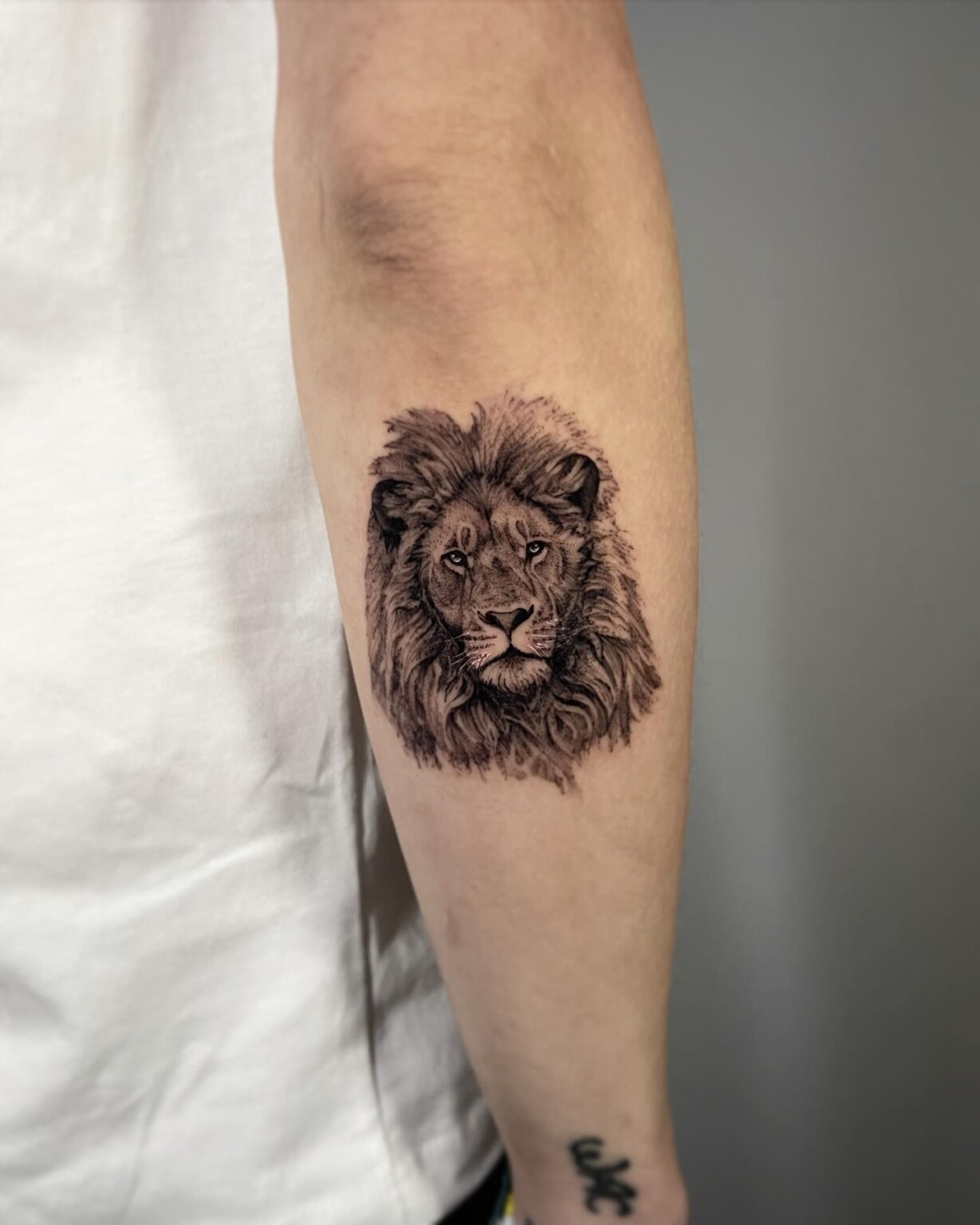 Top 70+ Badass Lion Tattoo Ideas - February 2024